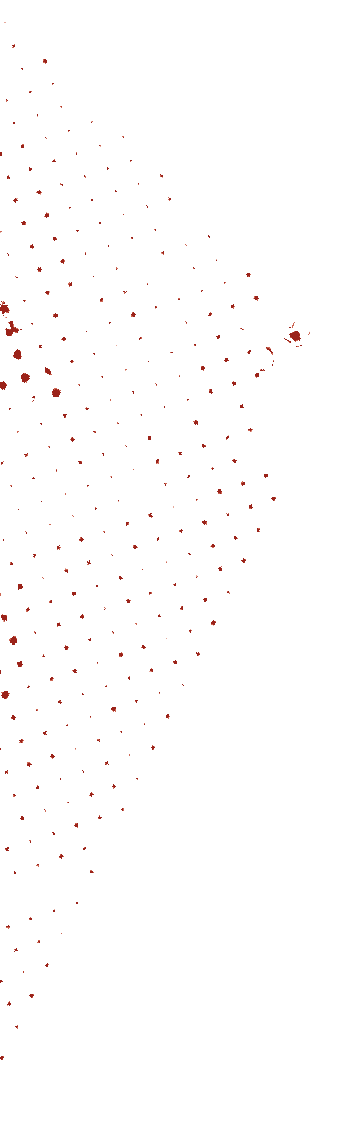https://bever-fit.de/wp-content/uploads/2021/05/floating_image_05.png